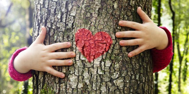 a little girl hugging a tree with a heart-shaped trail marker