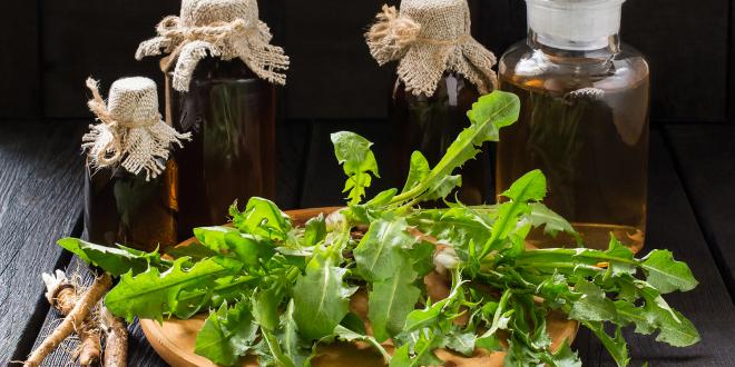 Dandelion leaves and roots with bottles of digestive bitters in the background.