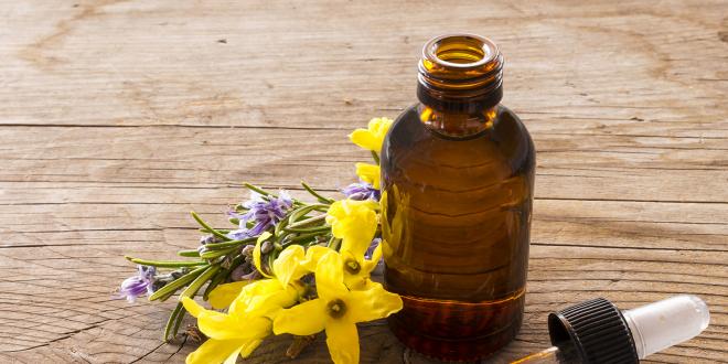 traditional medicine yin qiao san and a sprig of forsythia