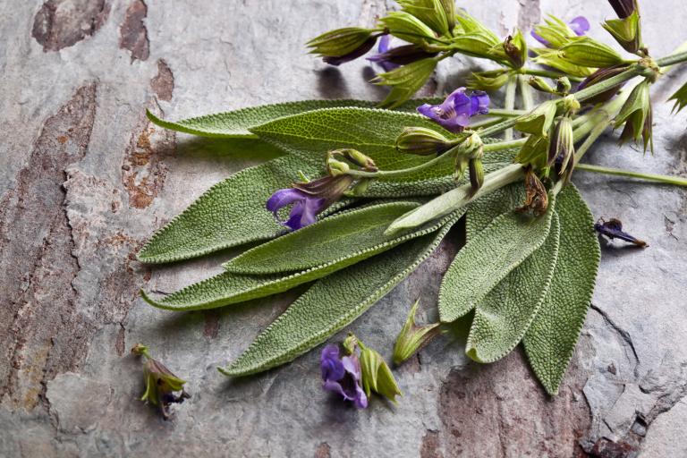 sage flowers